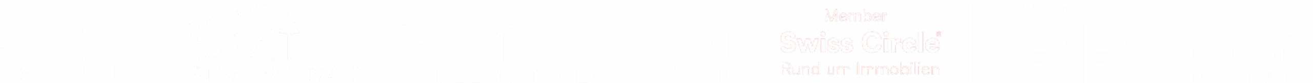 svit_schweiz_swiss_circle_mobile-neu